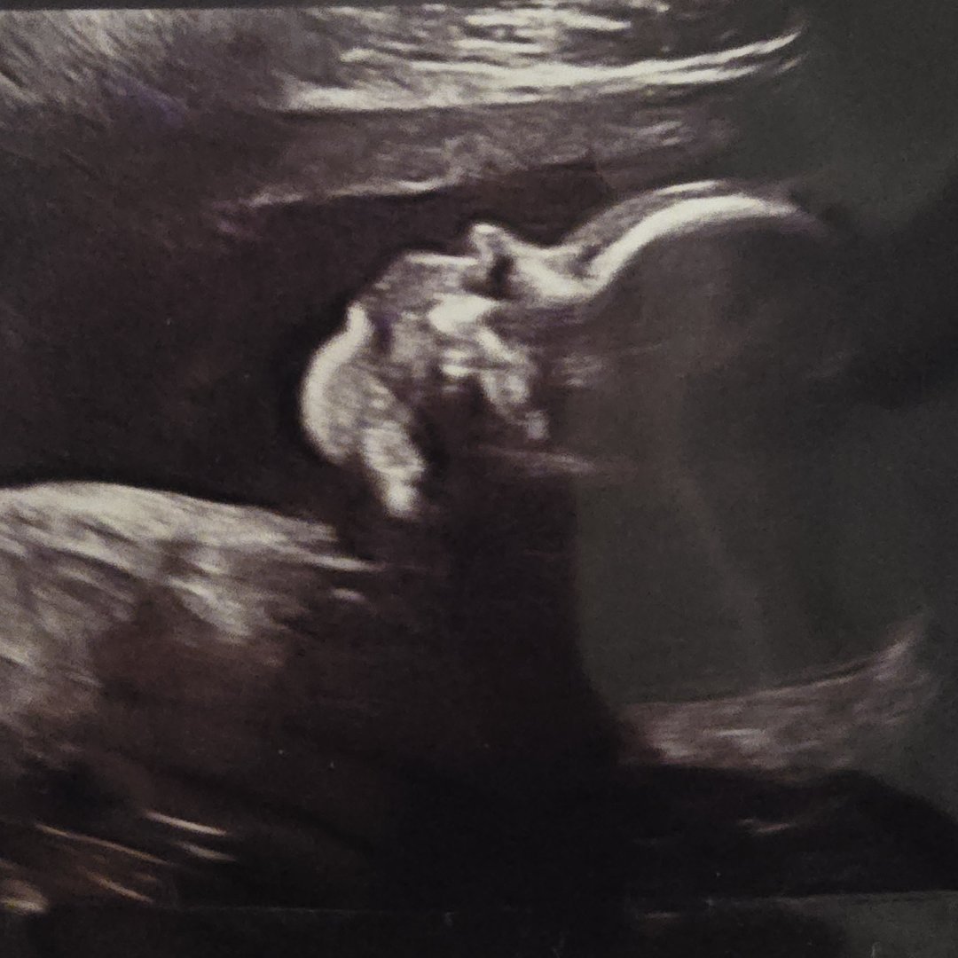 Photo shared by Jatita for their Babylist baby registry.