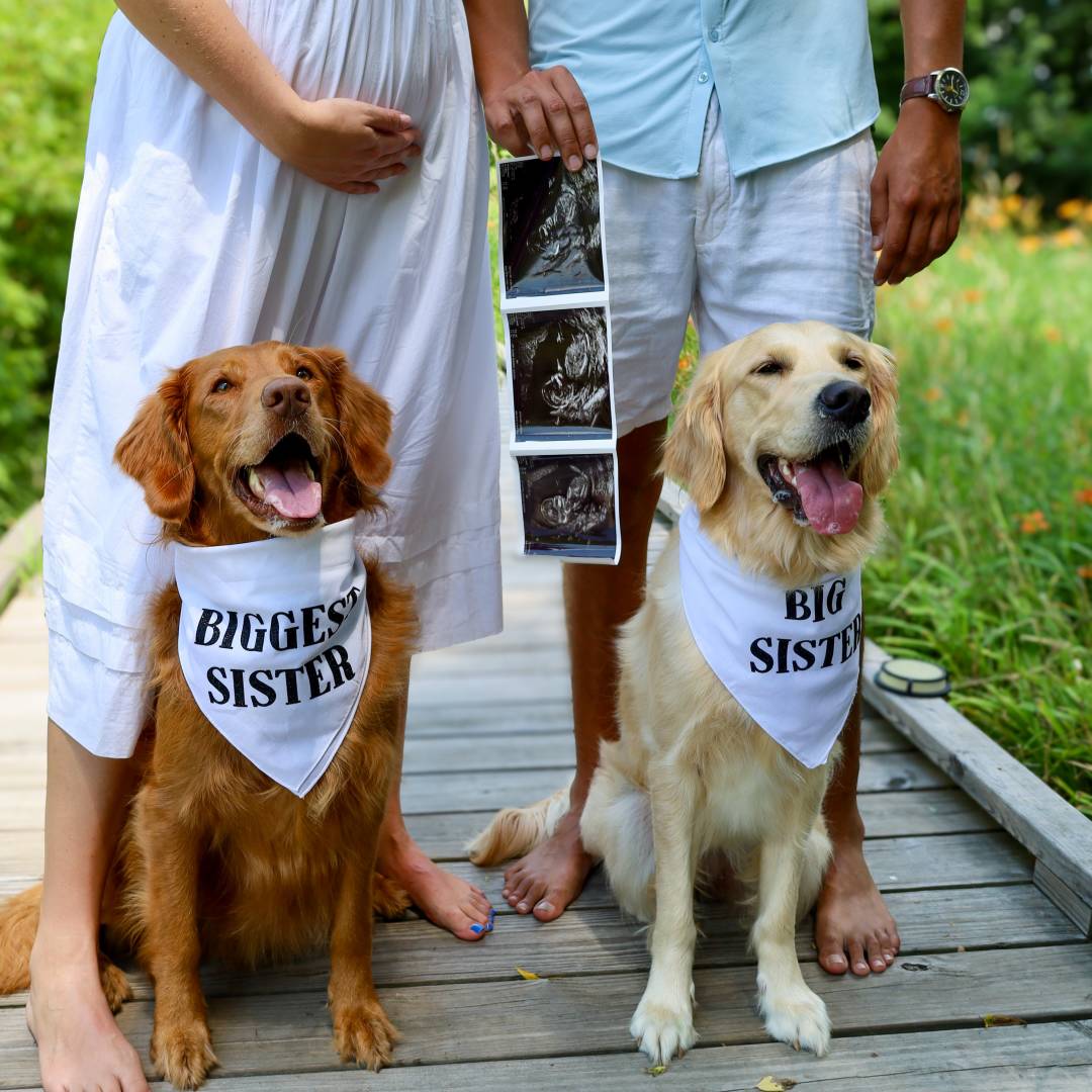 Photo shared by Ellia for their Babylist baby registry.