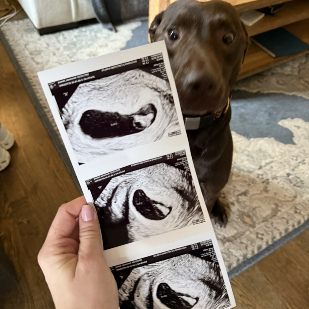 Photo shared by Savannah for their Babylist baby registry.