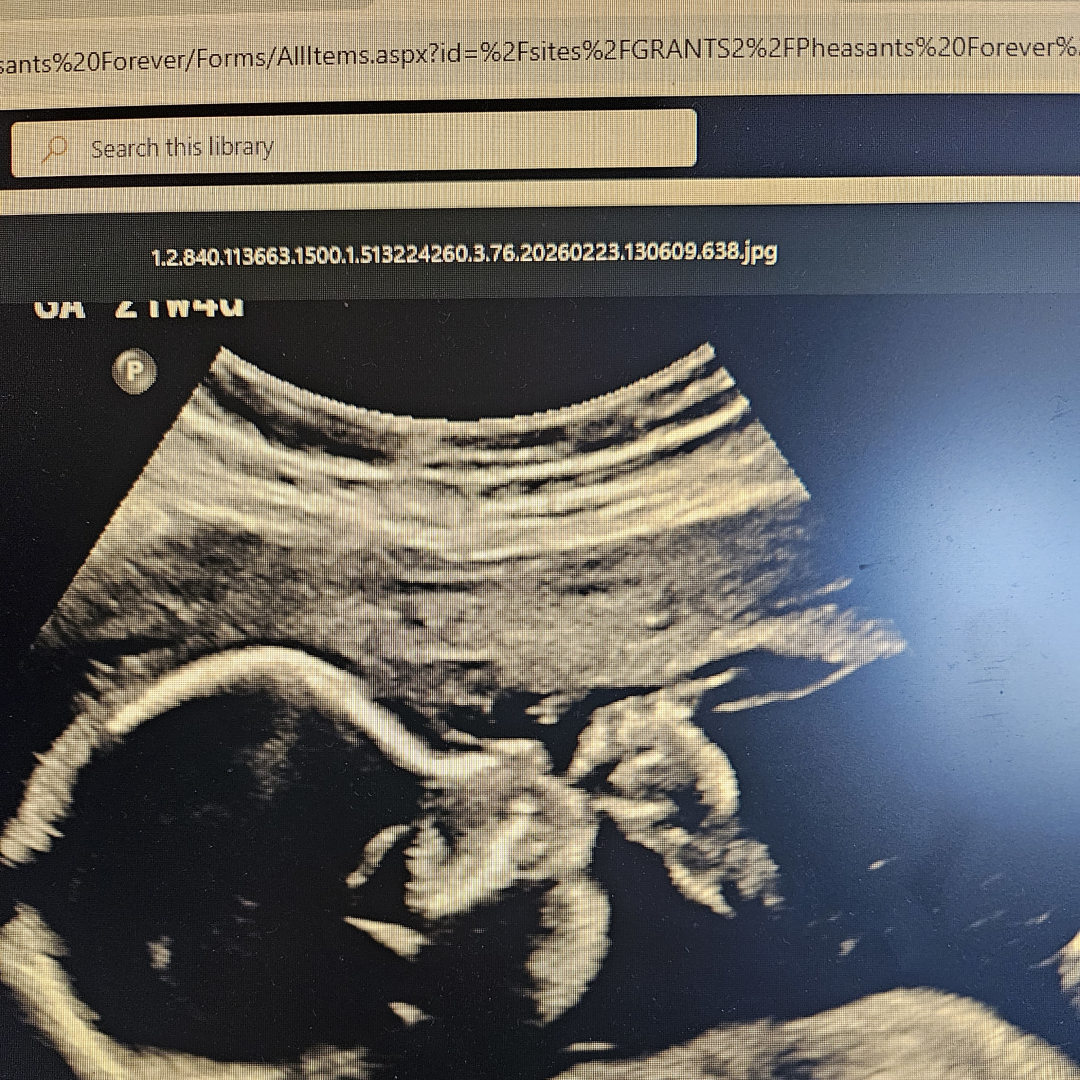 Photo shared by Cameron for their Babylist baby registry.