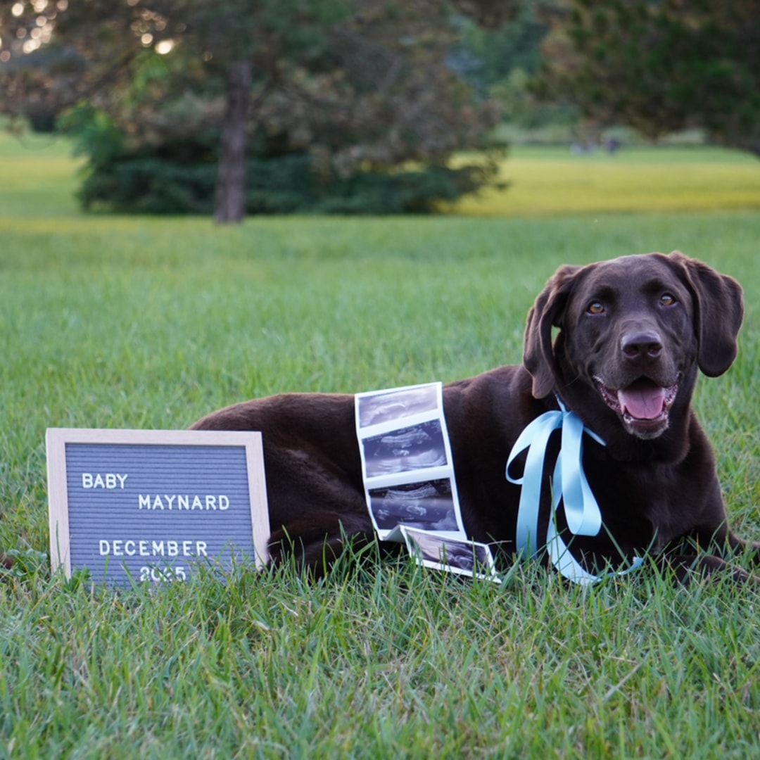 Photo shared by Stephanie for their Babylist baby registry.