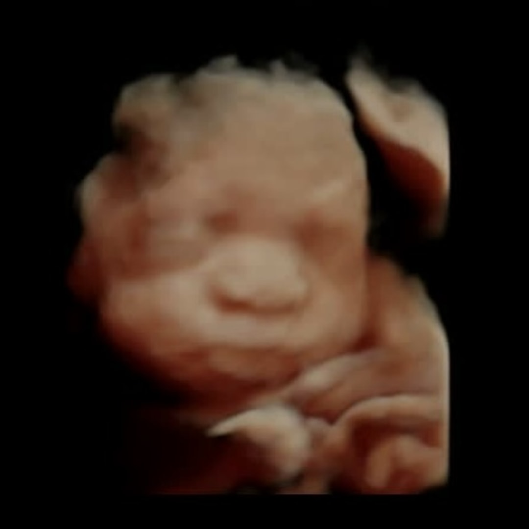 Photo shared by Sabrina for their Babylist baby registry.