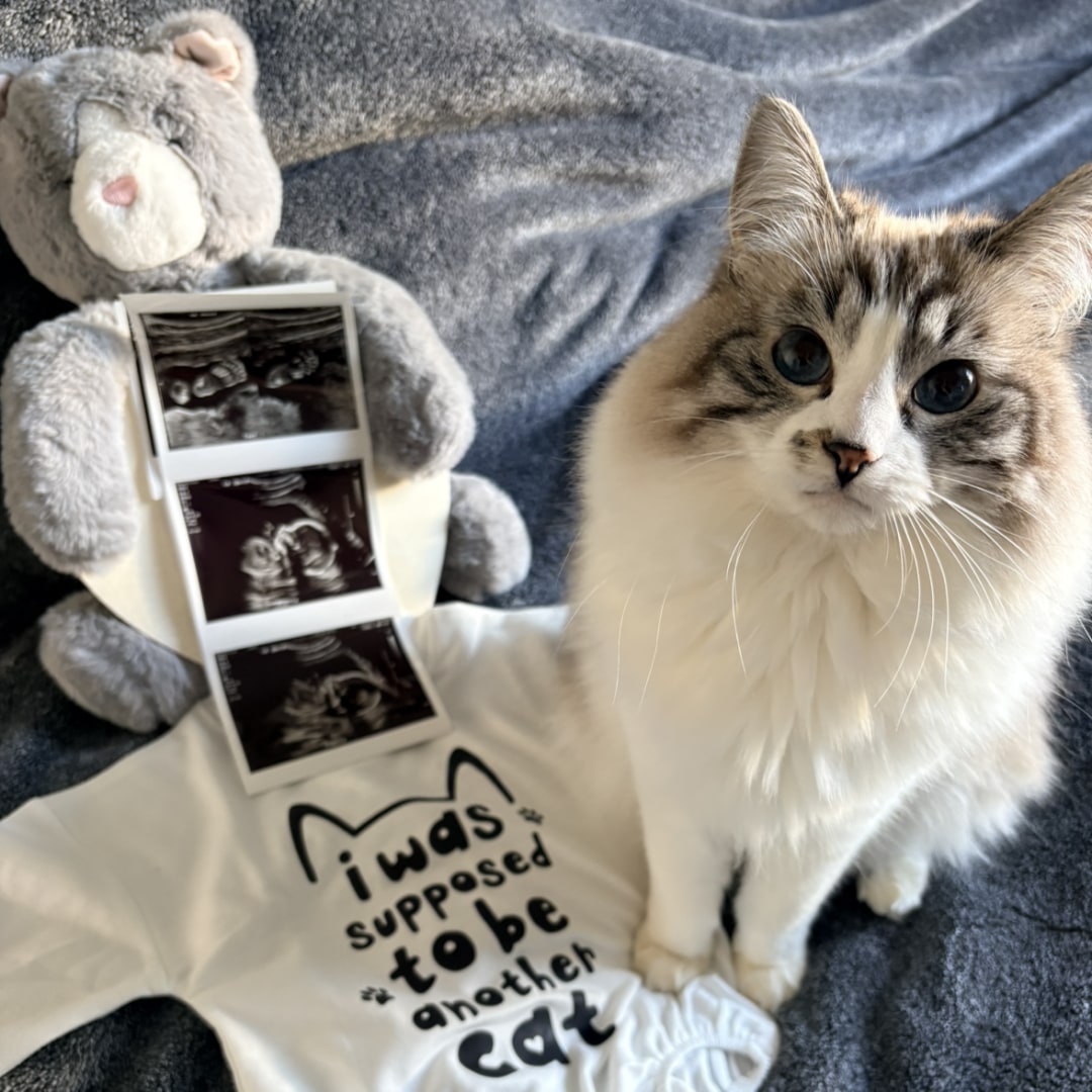 Photo shared by Kristin for their Babylist baby registry.