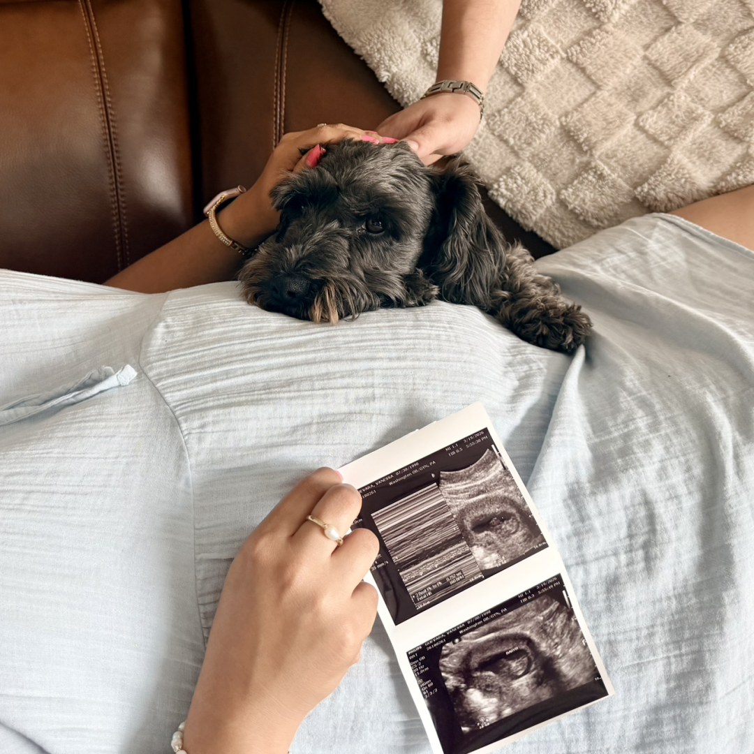 Photo shared by Vanessa for their Babylist baby registry.