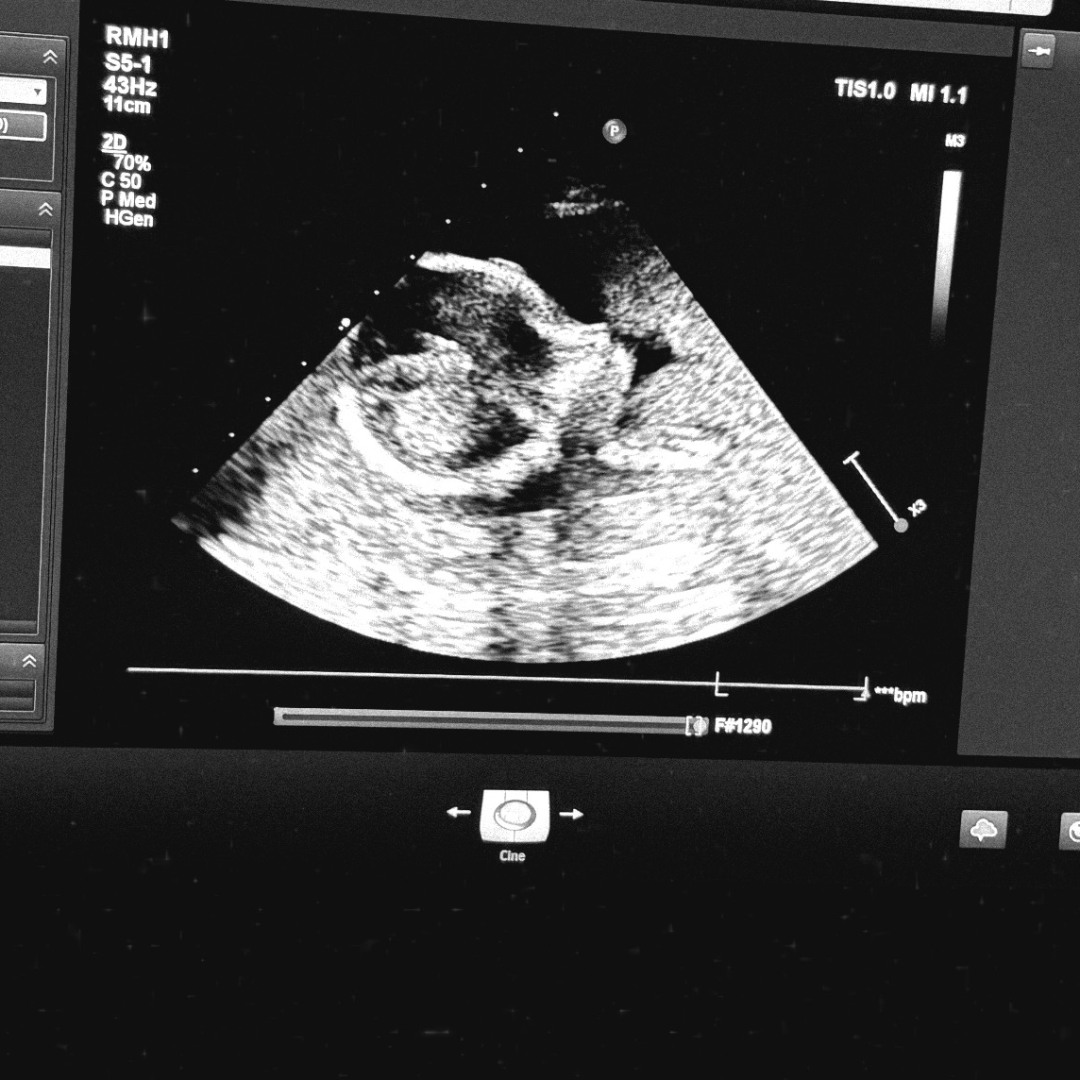 Photo shared by Keren for their Babylist baby registry.