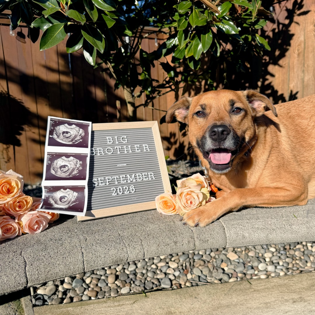 Photo shared by Sydney for their Babylist baby registry.