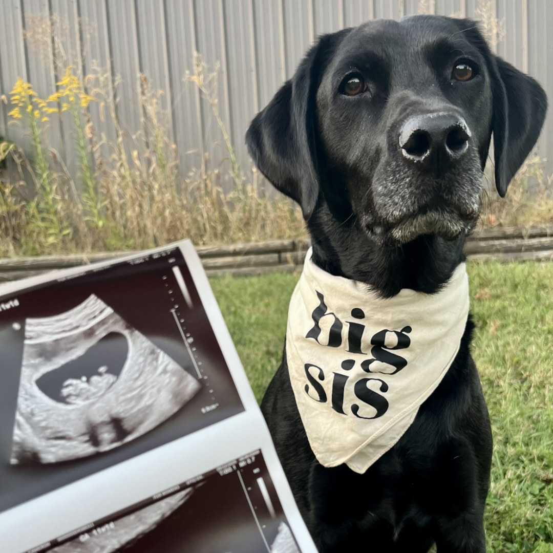 Photo shared by Cami for their Babylist baby registry.