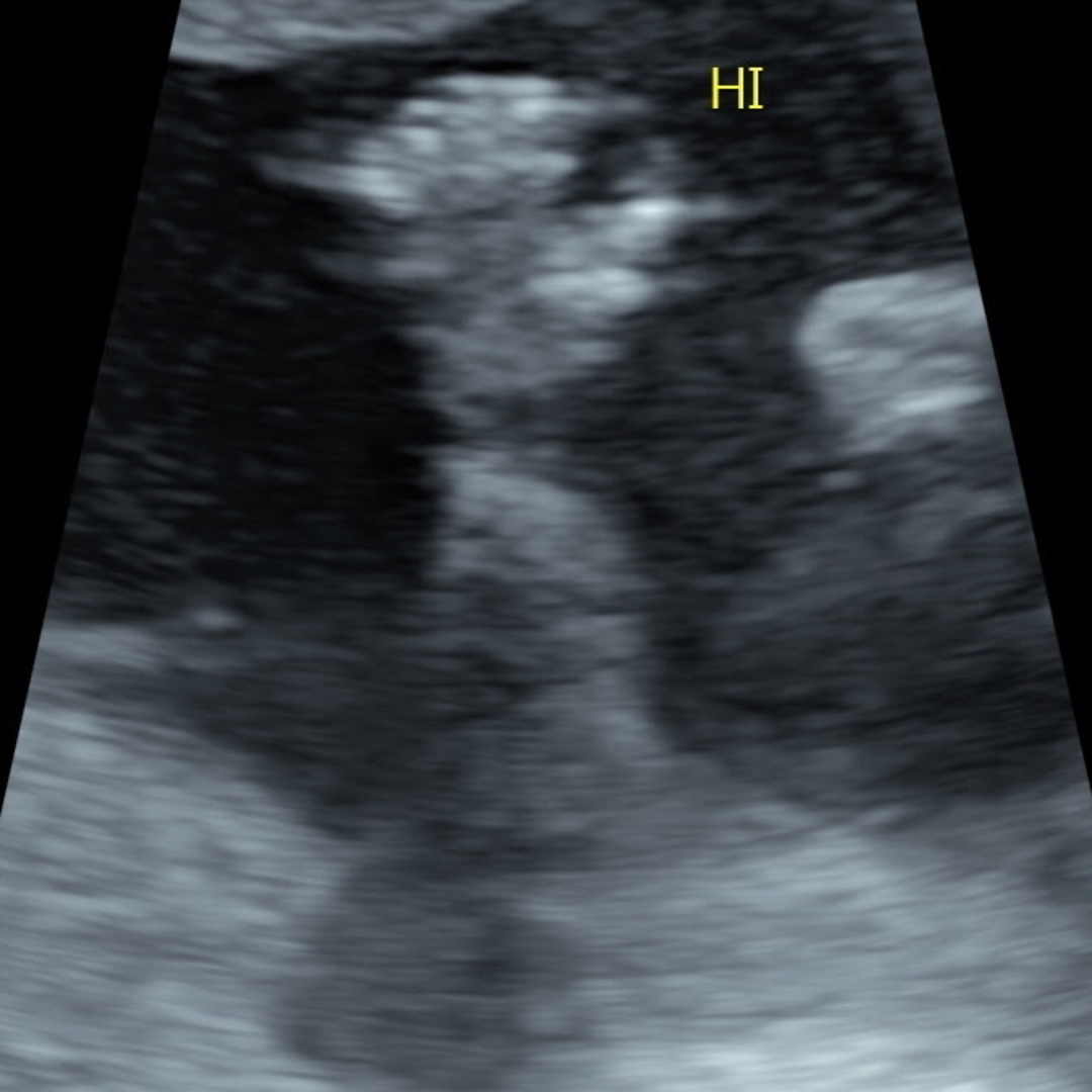 Photo shared by Rosetta for their Babylist baby registry.