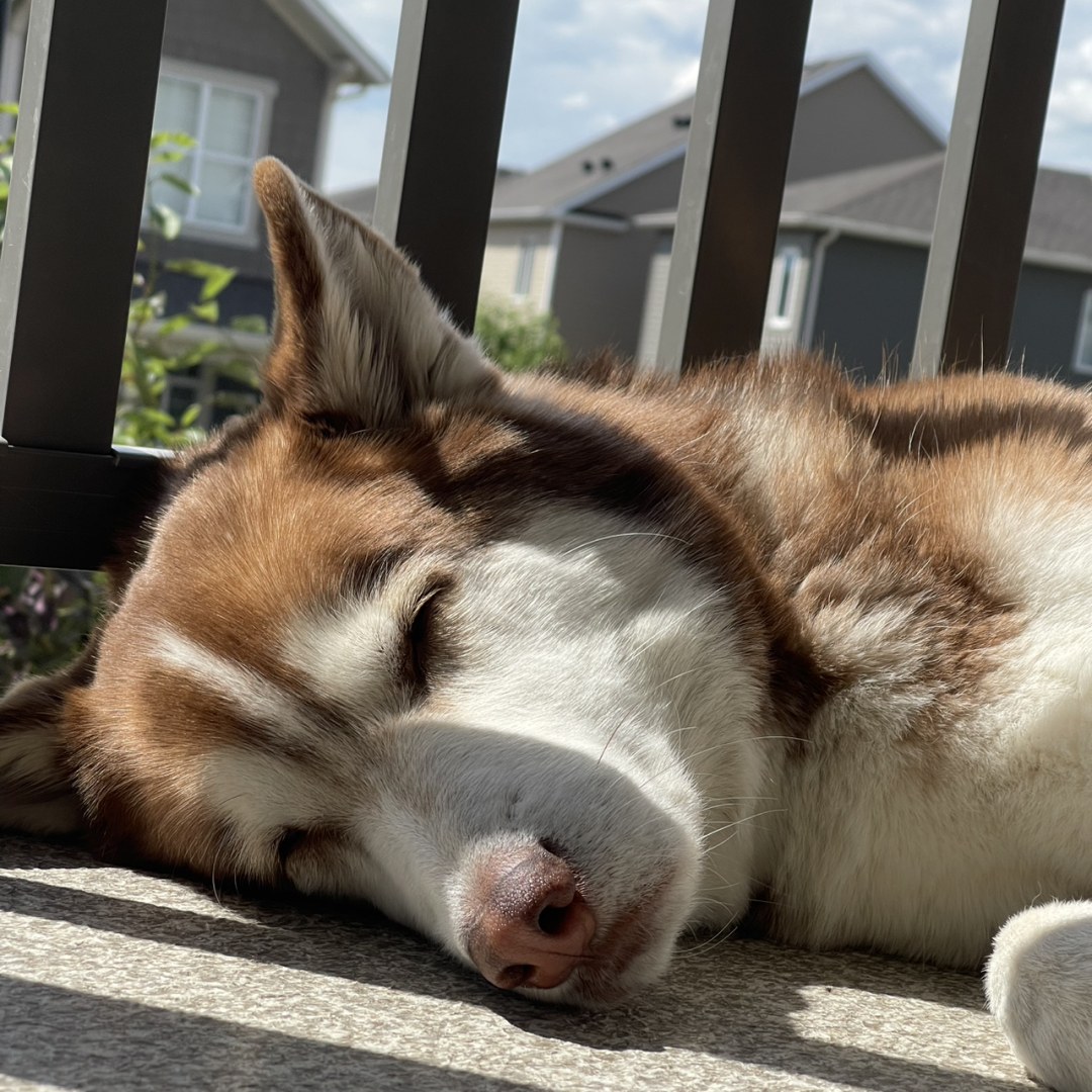 Photo shared by Iana & Deniel for their Babylist baby registry.