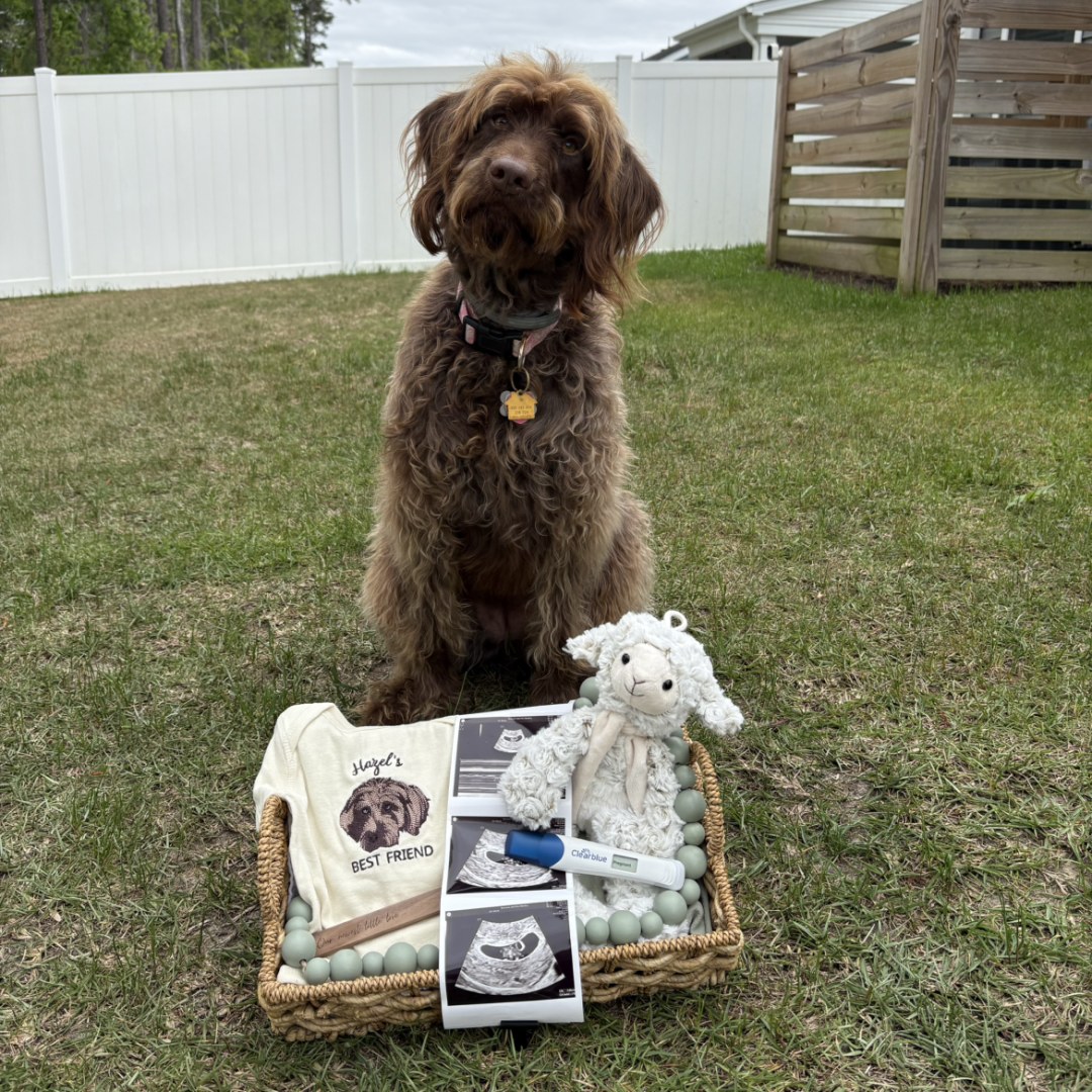 Photo shared by Hannah for their Babylist baby registry.