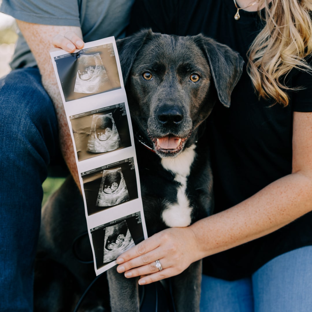 Photo shared by Kate for their Babylist baby registry.