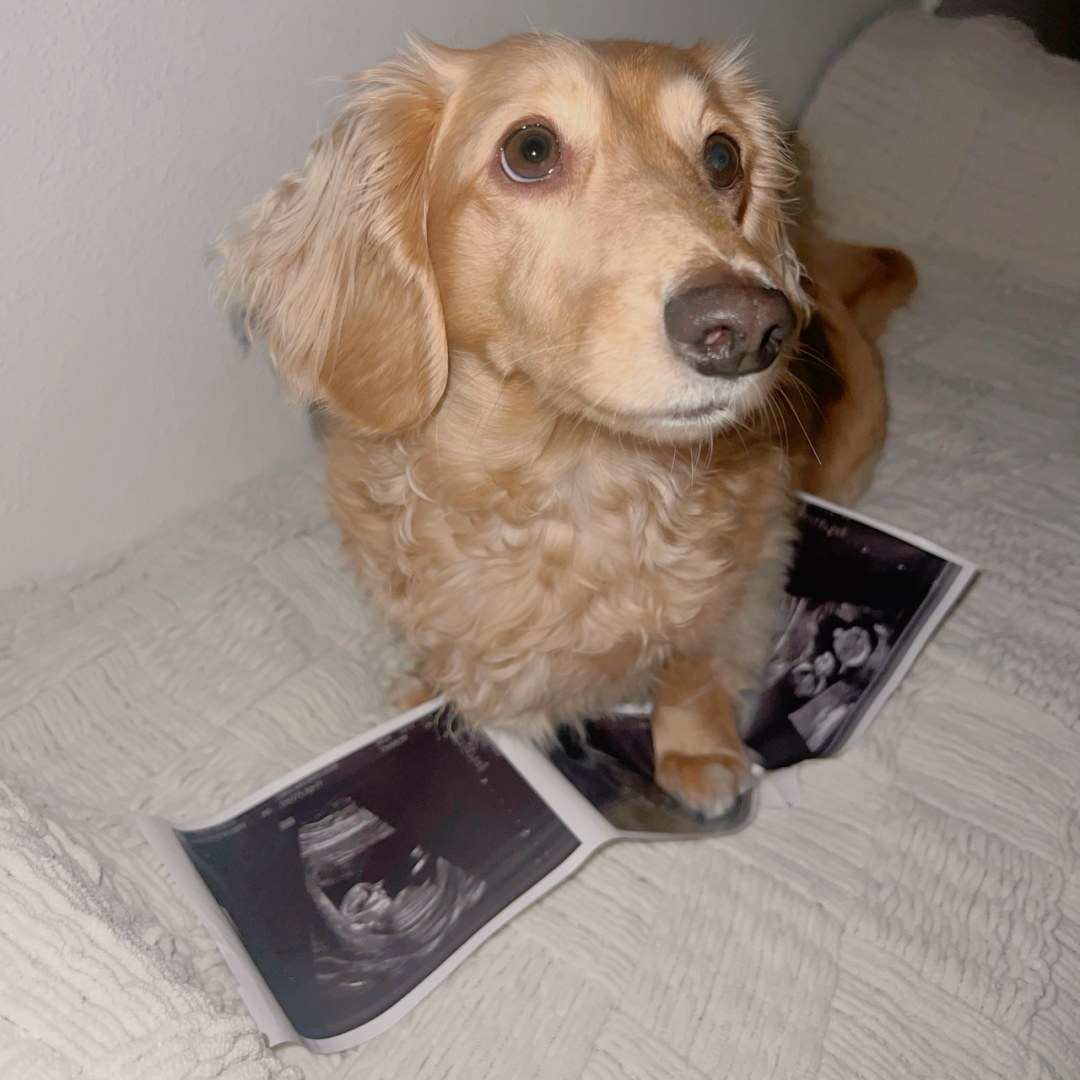 Photo shared by Katie for their Babylist baby registry.
