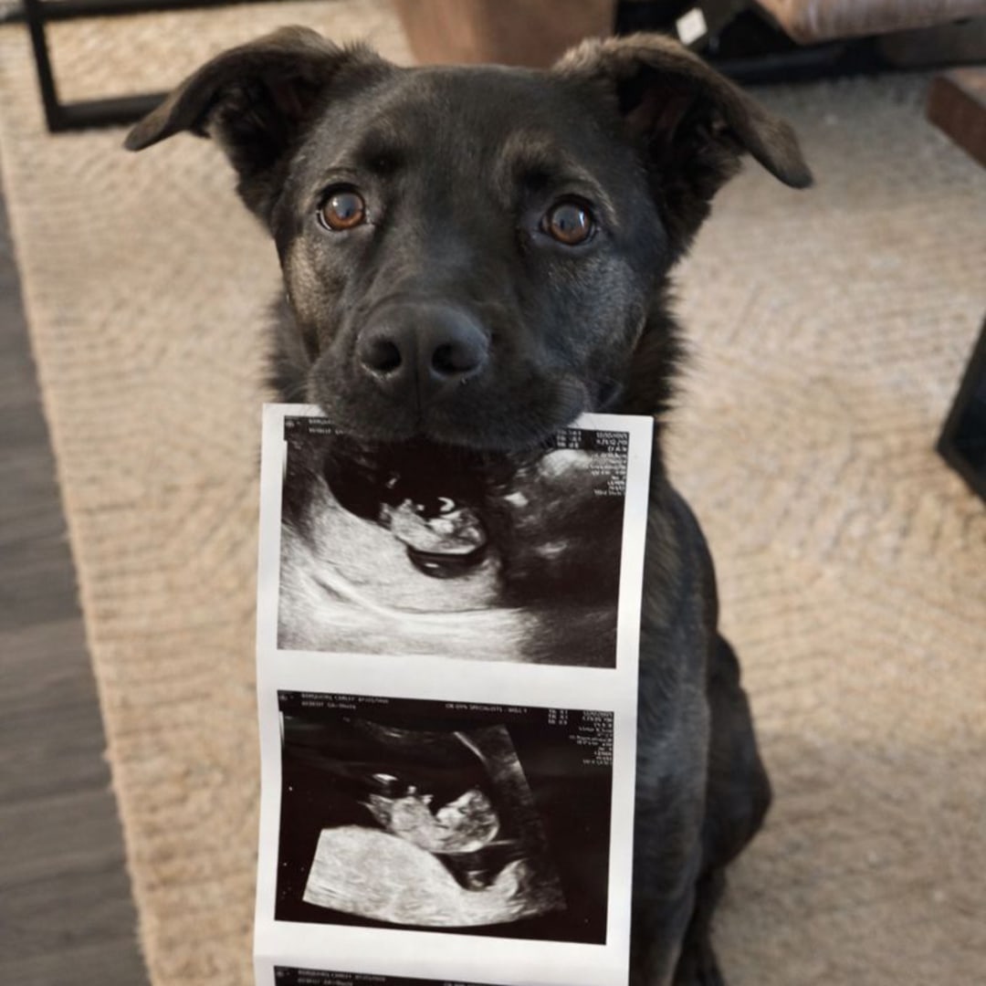 Photo shared by Carley for their Babylist baby registry.