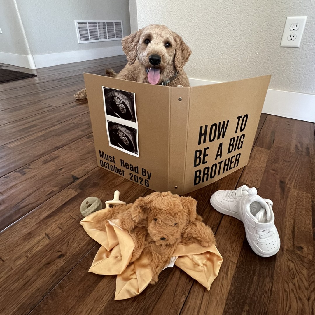 Photo shared by Jenna for their Babylist baby registry.