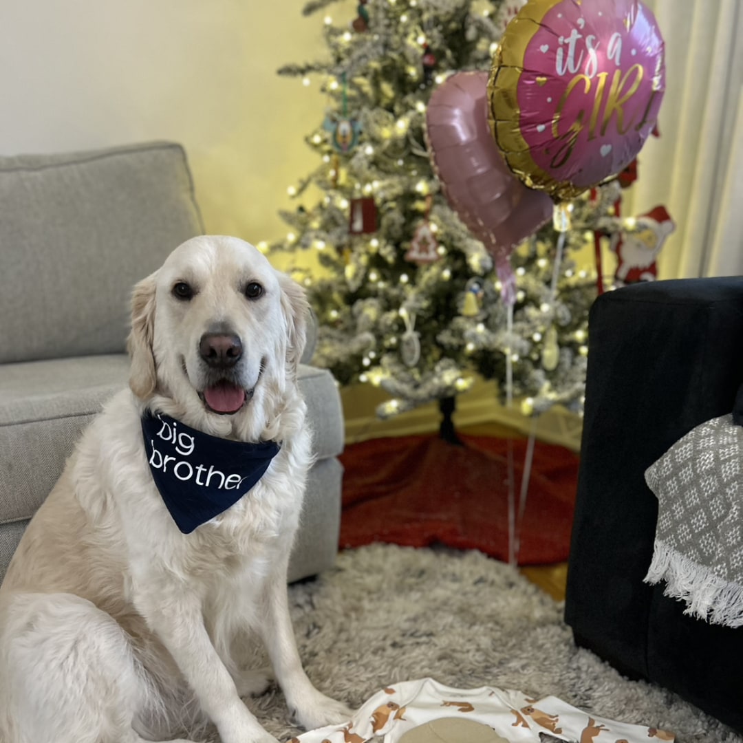 Photo shared by Kayla for their Babylist baby registry.