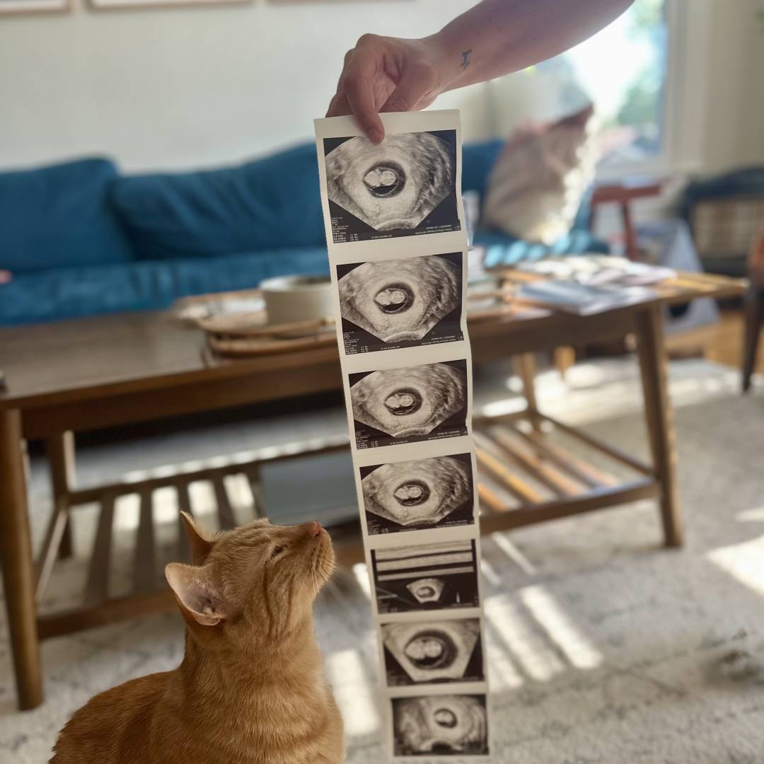 Photo shared by Addie for their Babylist baby registry.