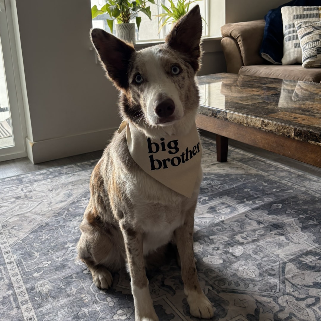 Photo shared by Sydney for their Babylist baby registry.