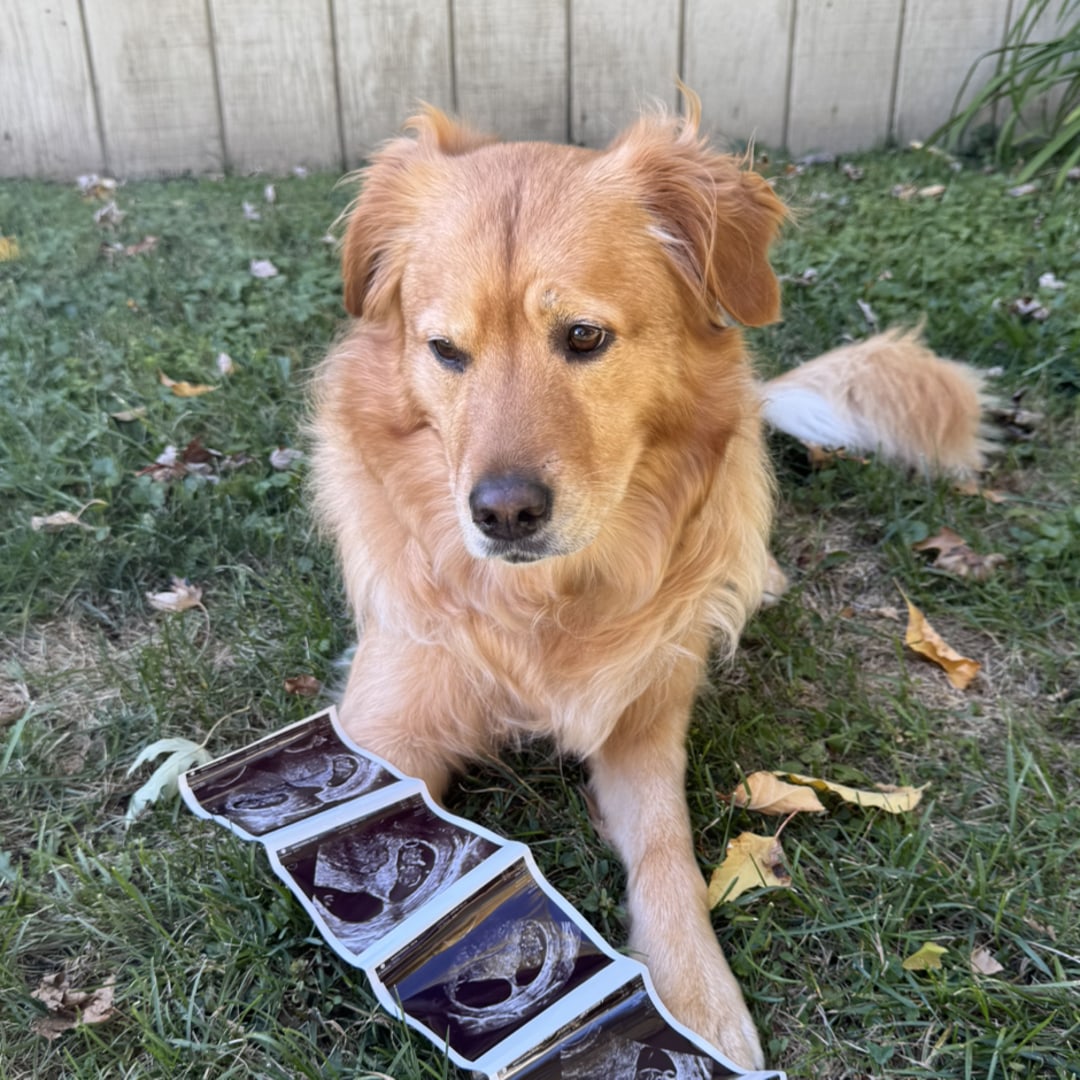 Photo shared by Julia for their Babylist baby registry.