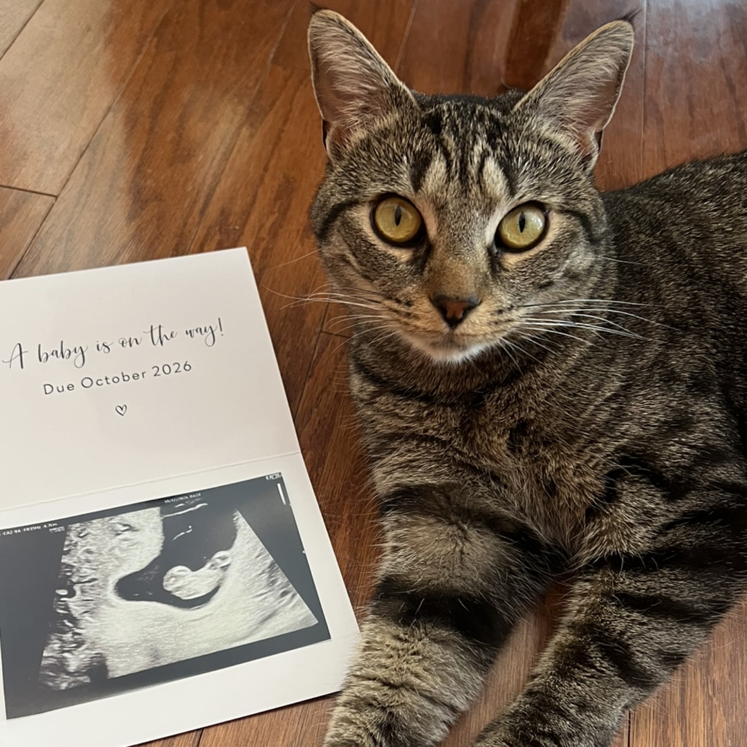Photo shared by Tracy for their Babylist baby registry.