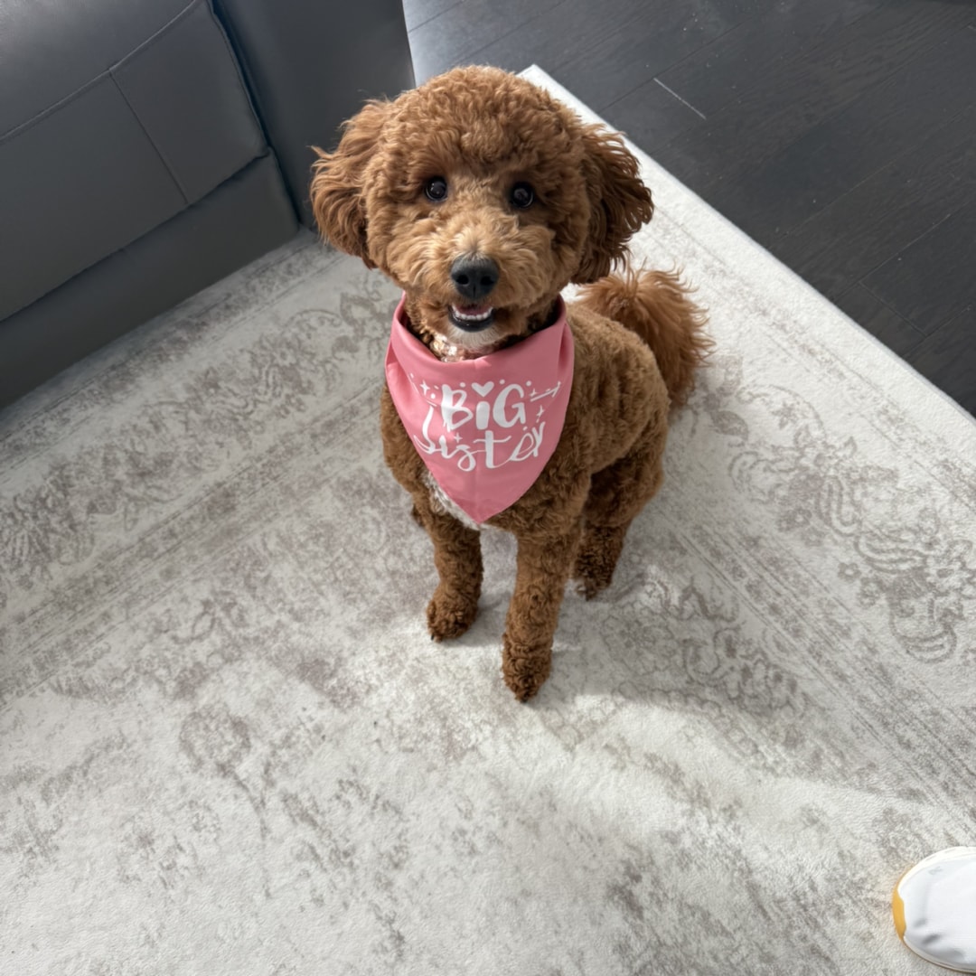 Photo shared by Ally for their Babylist baby registry.