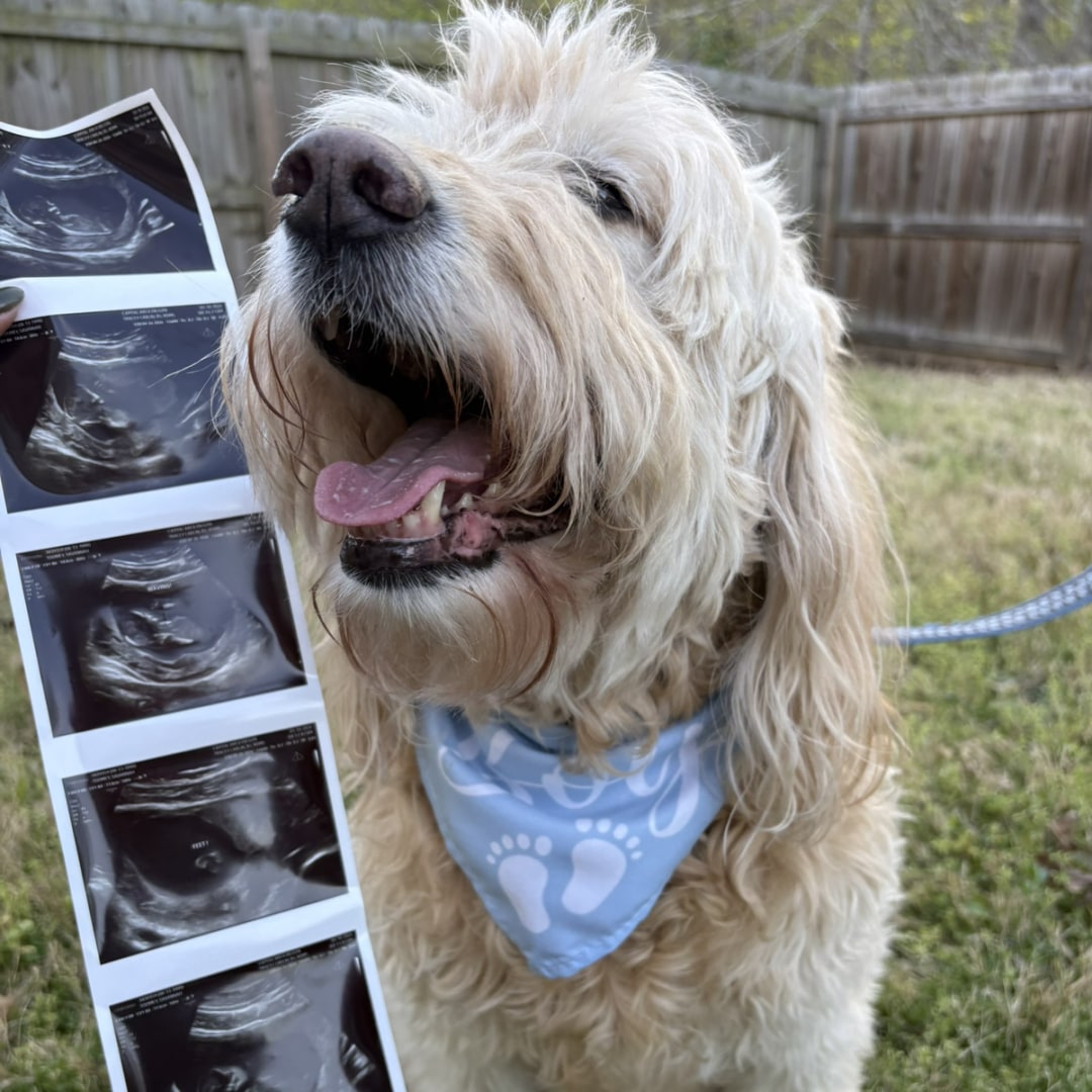 Photo shared by Savannah for their Babylist baby registry.
