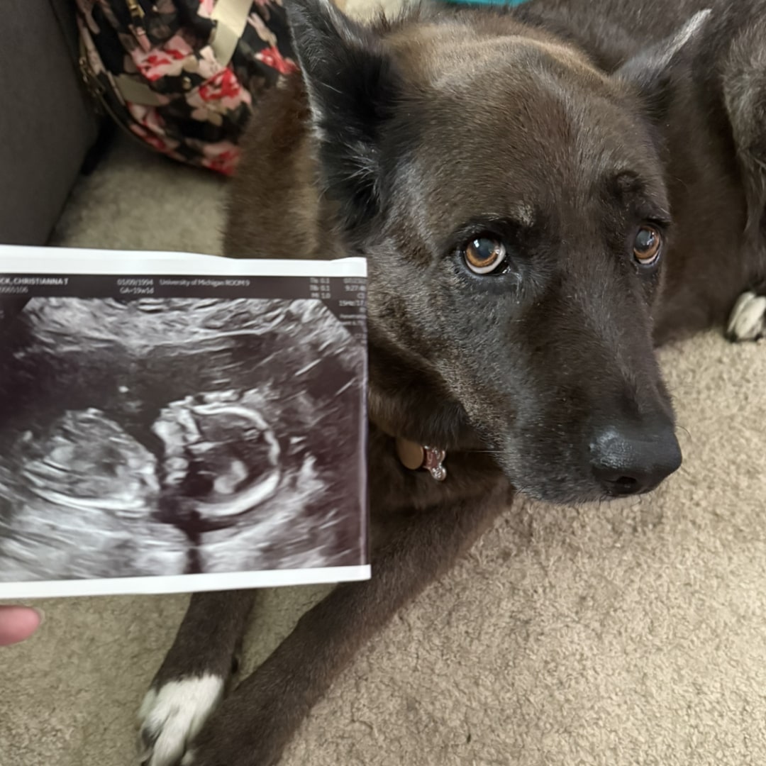 Photo shared by Christianna for their Babylist baby registry.