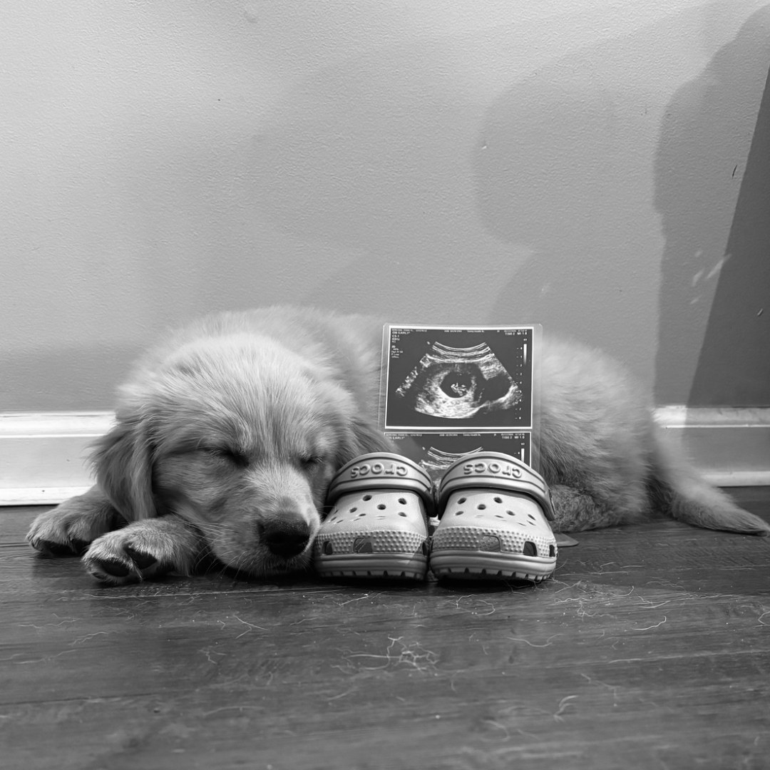 Photo shared by Paige for their Babylist baby registry.