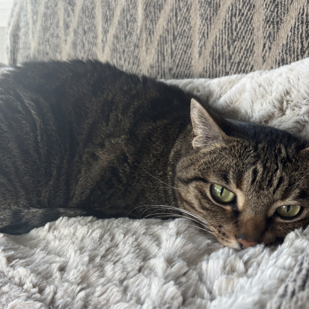 Photo shared by Hannah for their Babylist baby registry.