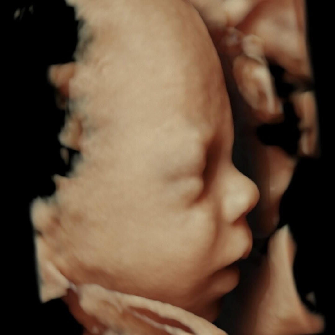 Photo shared by Samantha for their Babylist baby registry.