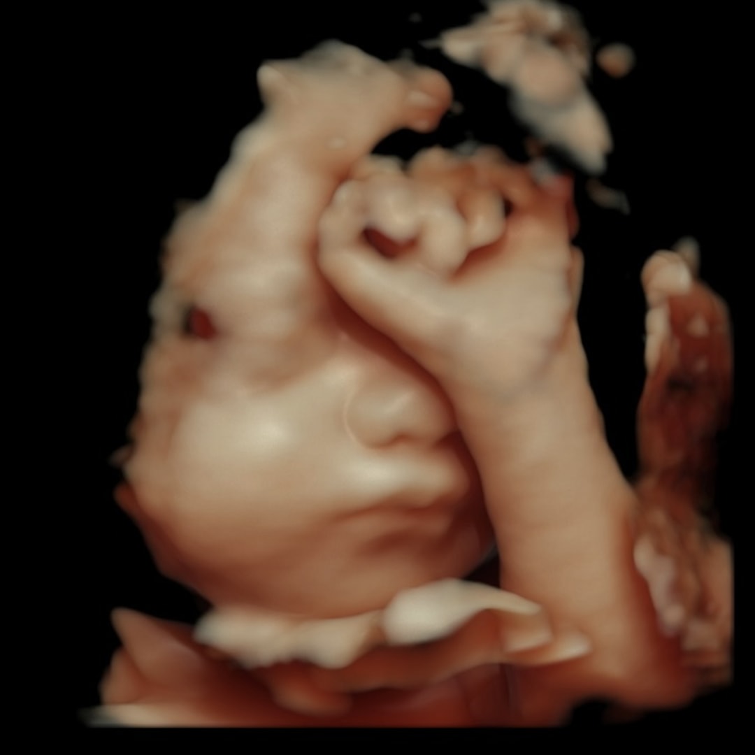 Photo shared by Enery for their Babylist baby registry.