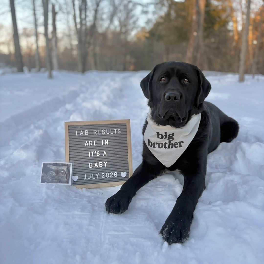 Photo shared by Danielle for their Babylist baby registry.