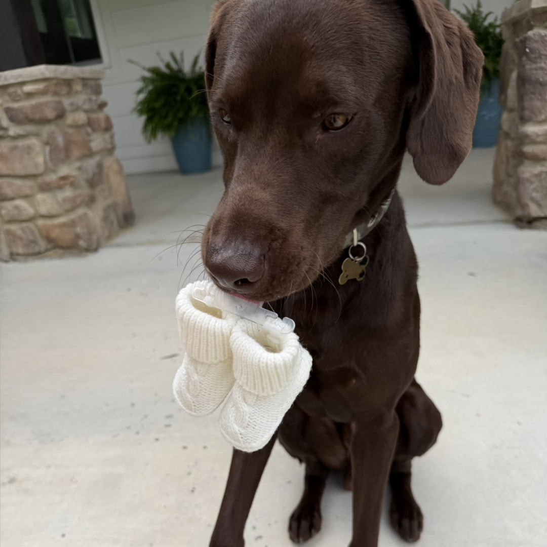 Photo shared by Anna for their Babylist baby registry.