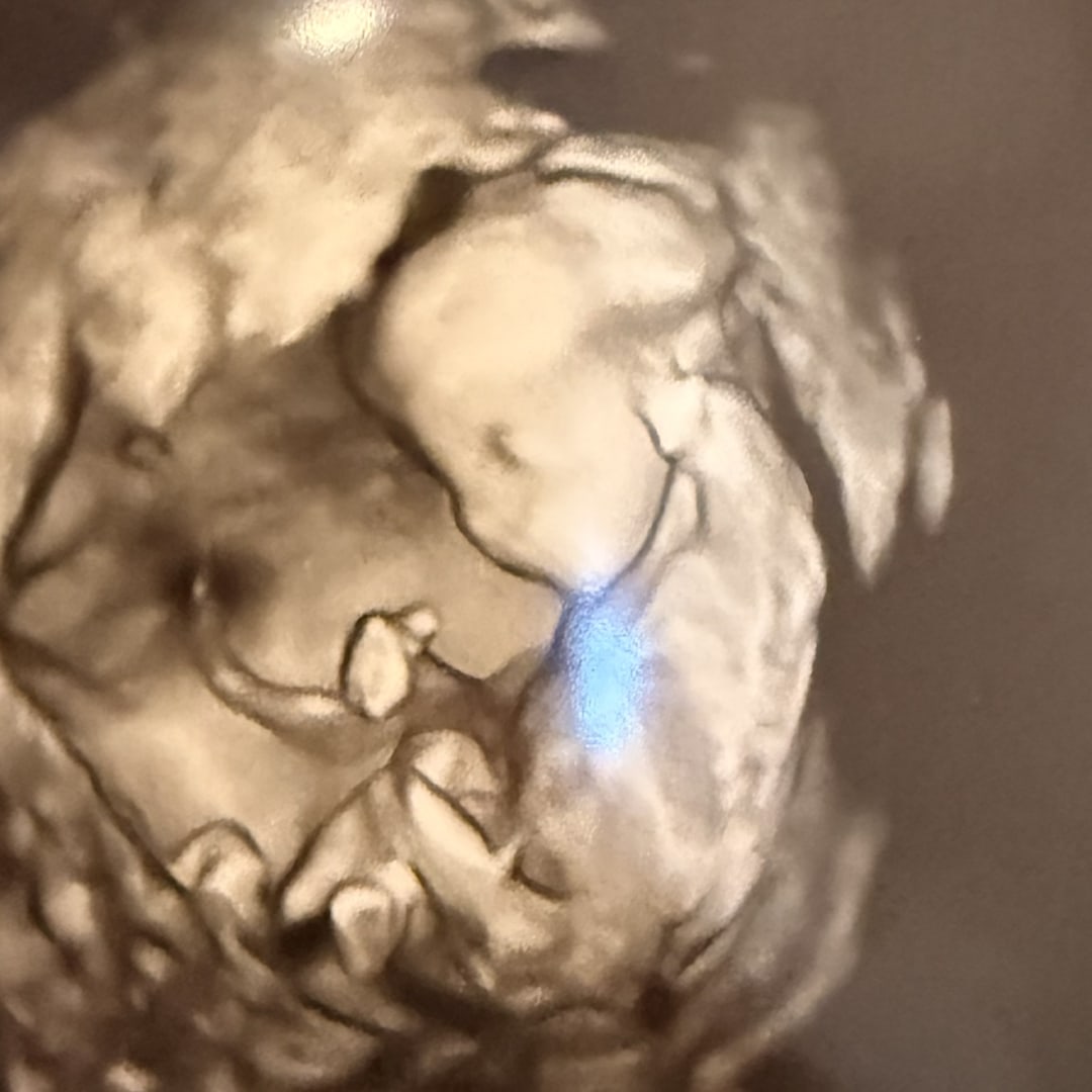 Photo shared by Krysta for their Babylist baby registry.