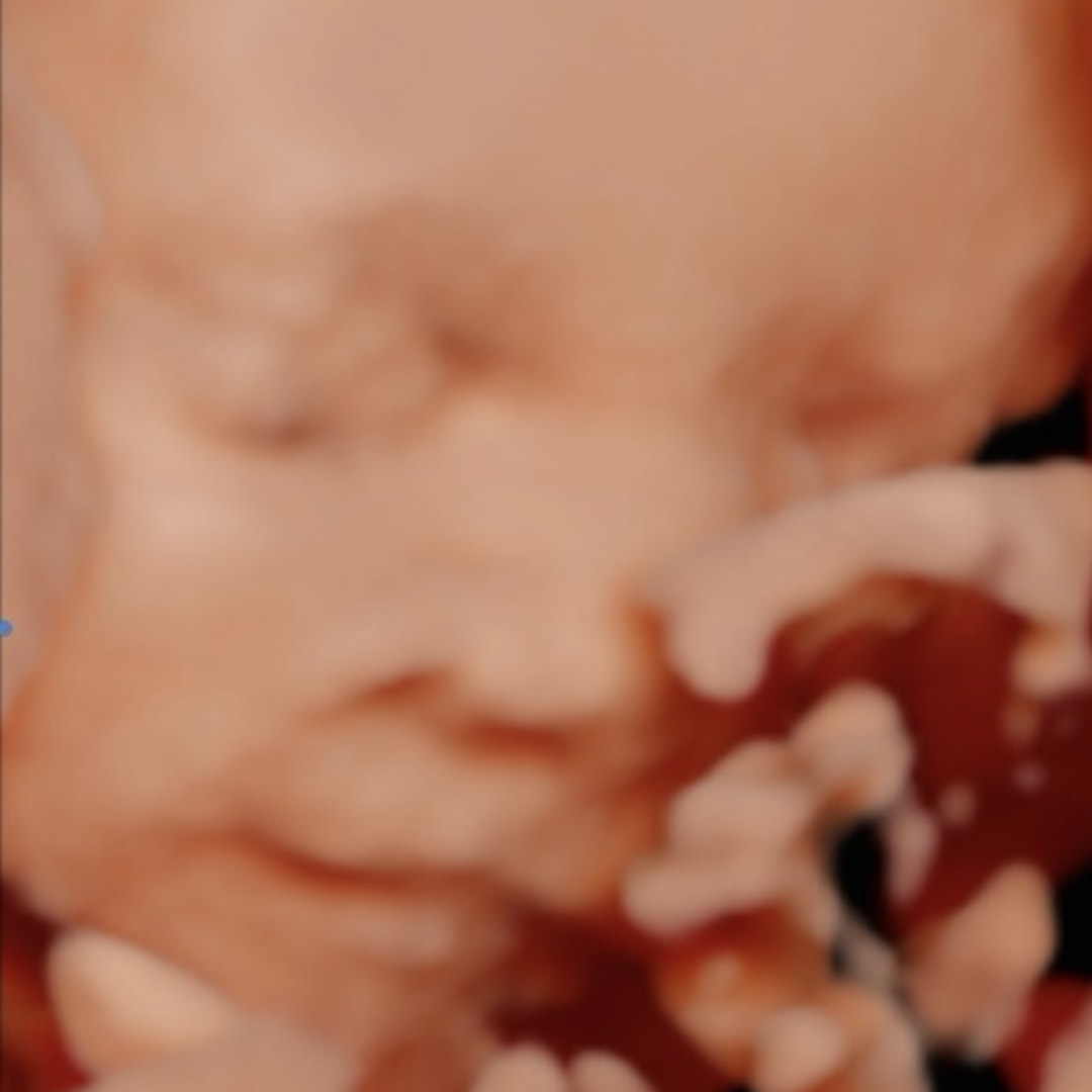 Photo shared by Adryan for their Babylist baby registry.