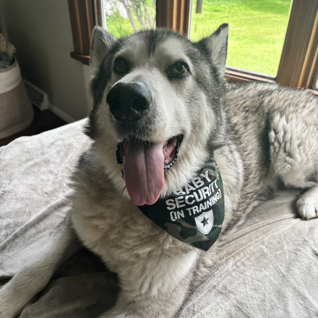 Photo shared by Crystal Grace for their Babylist baby registry.