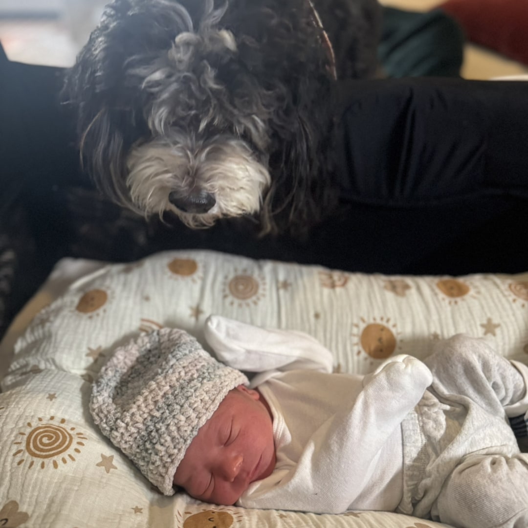 Photo shared by Alysa for their Babylist baby registry.