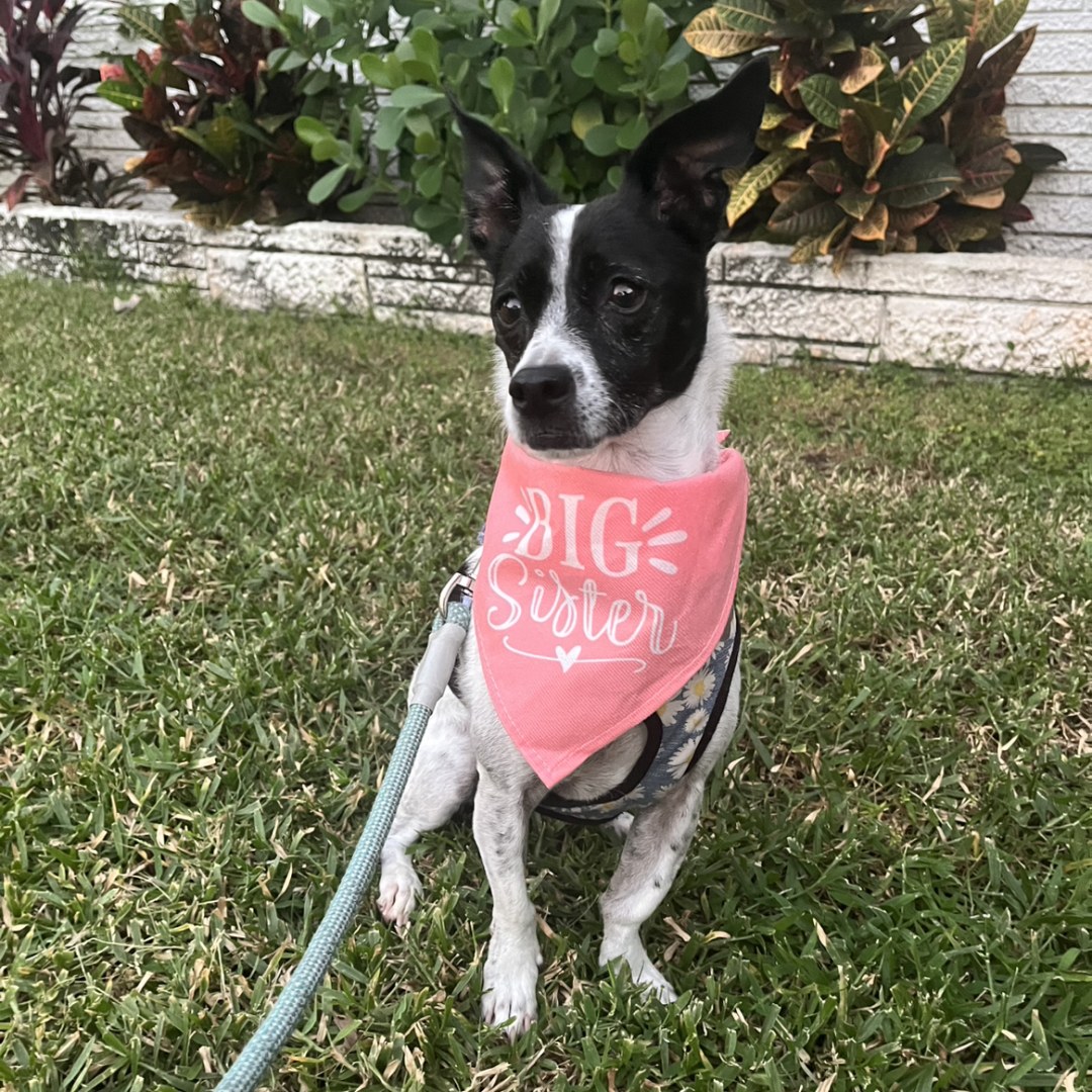 Photo shared by Alexa for their Babylist baby registry.