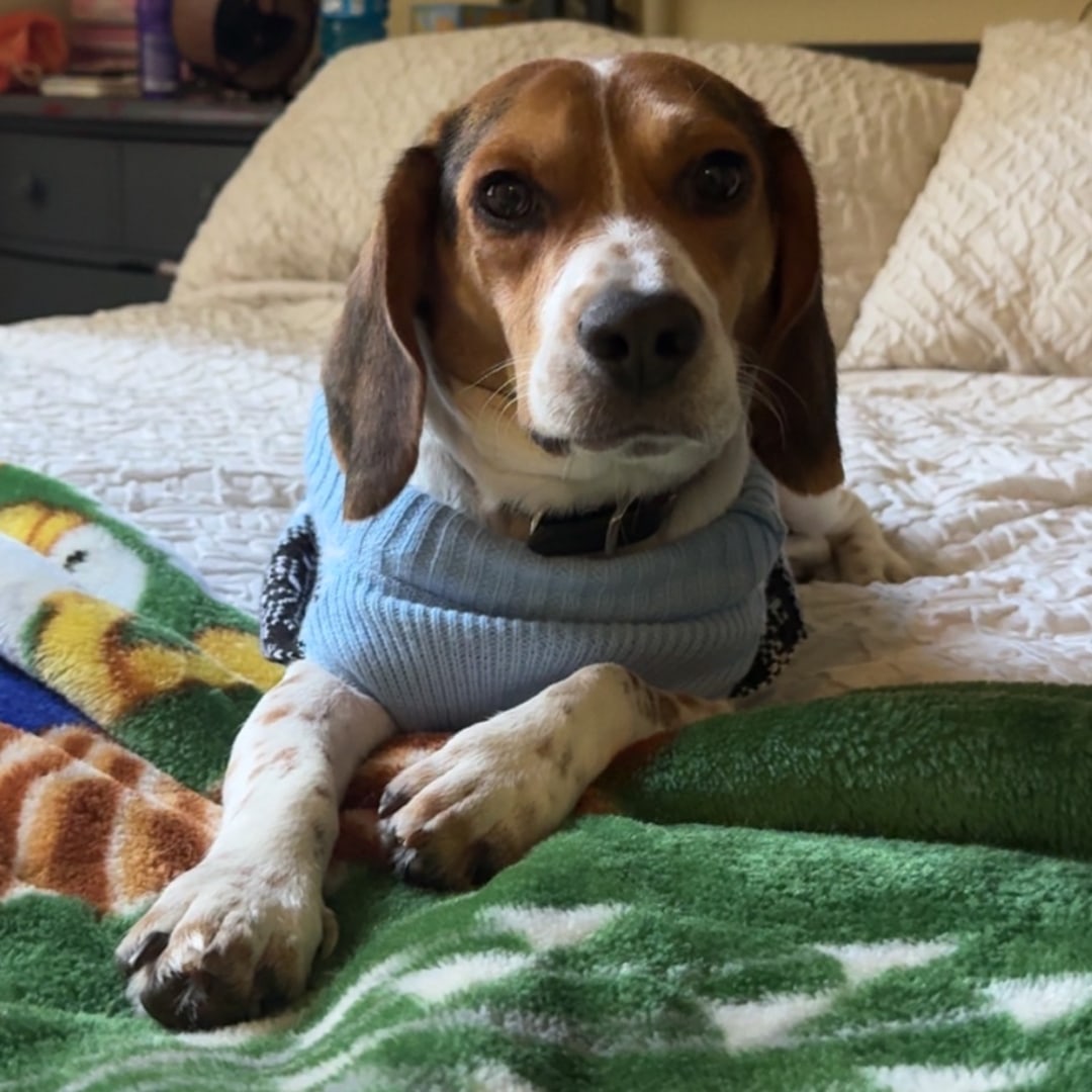 Photo shared by Destiny for their Babylist baby registry.