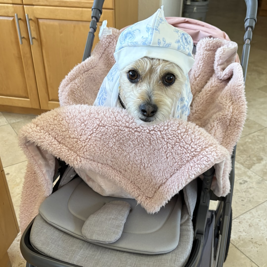 Photo shared by Mary for their Babylist baby registry.