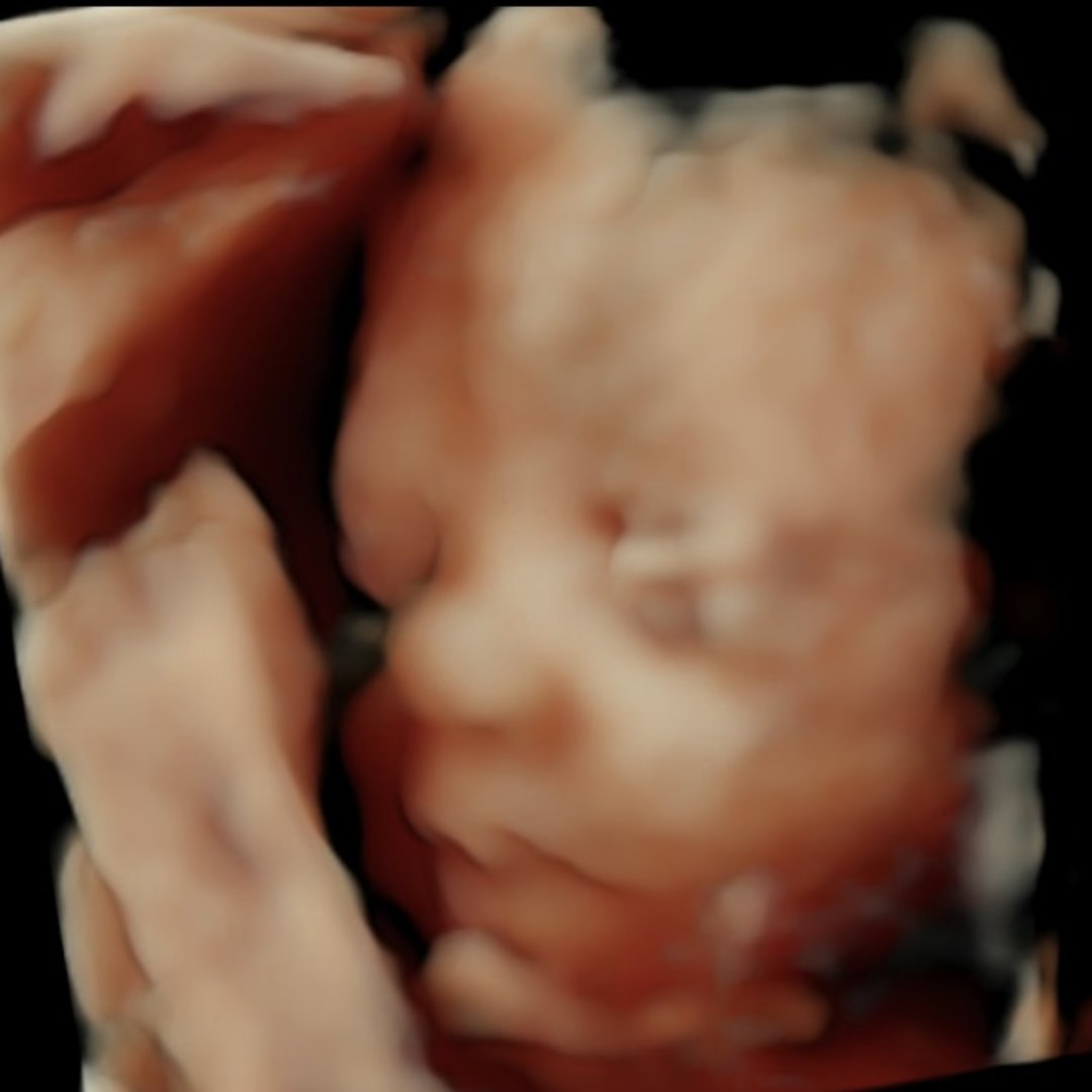 Photo shared by Shara for their Babylist baby registry.