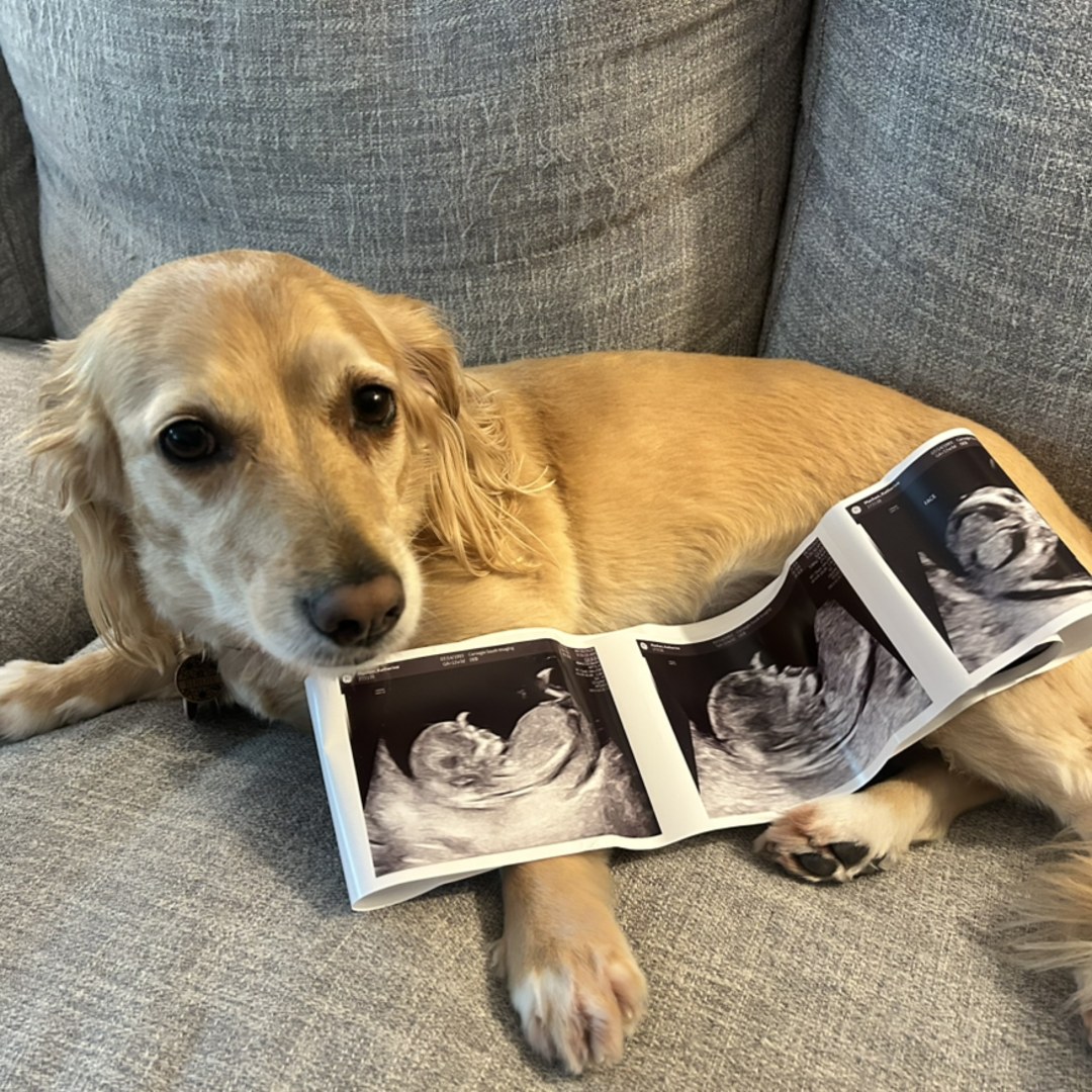 Photo shared by Katie for their Babylist baby registry.