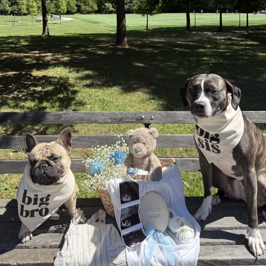 Photo shared by Erika for their Babylist baby registry.