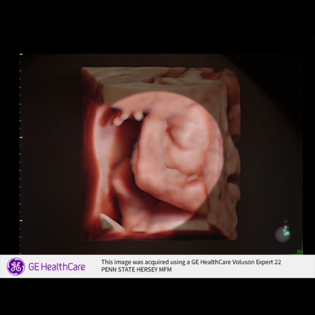 Photo shared by Abby for their Babylist baby registry.