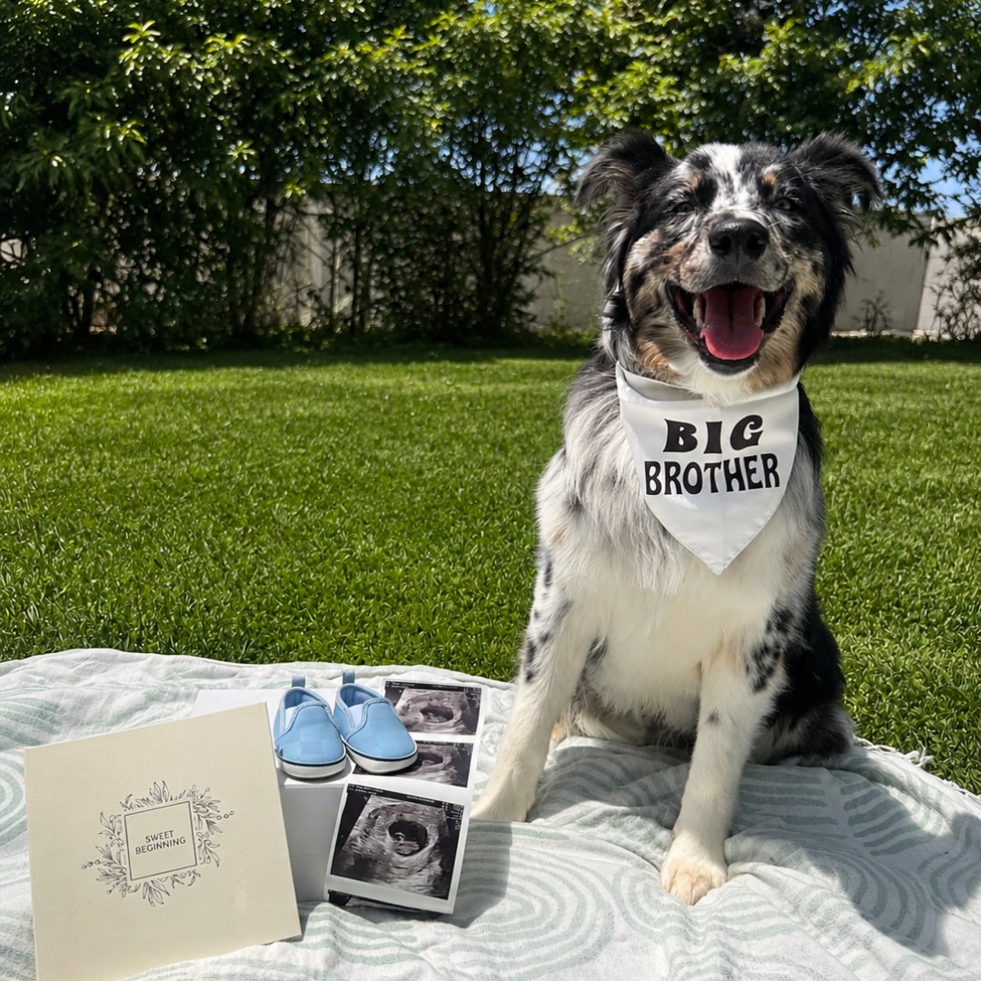 Photo shared by Alyssa for their Babylist baby registry.