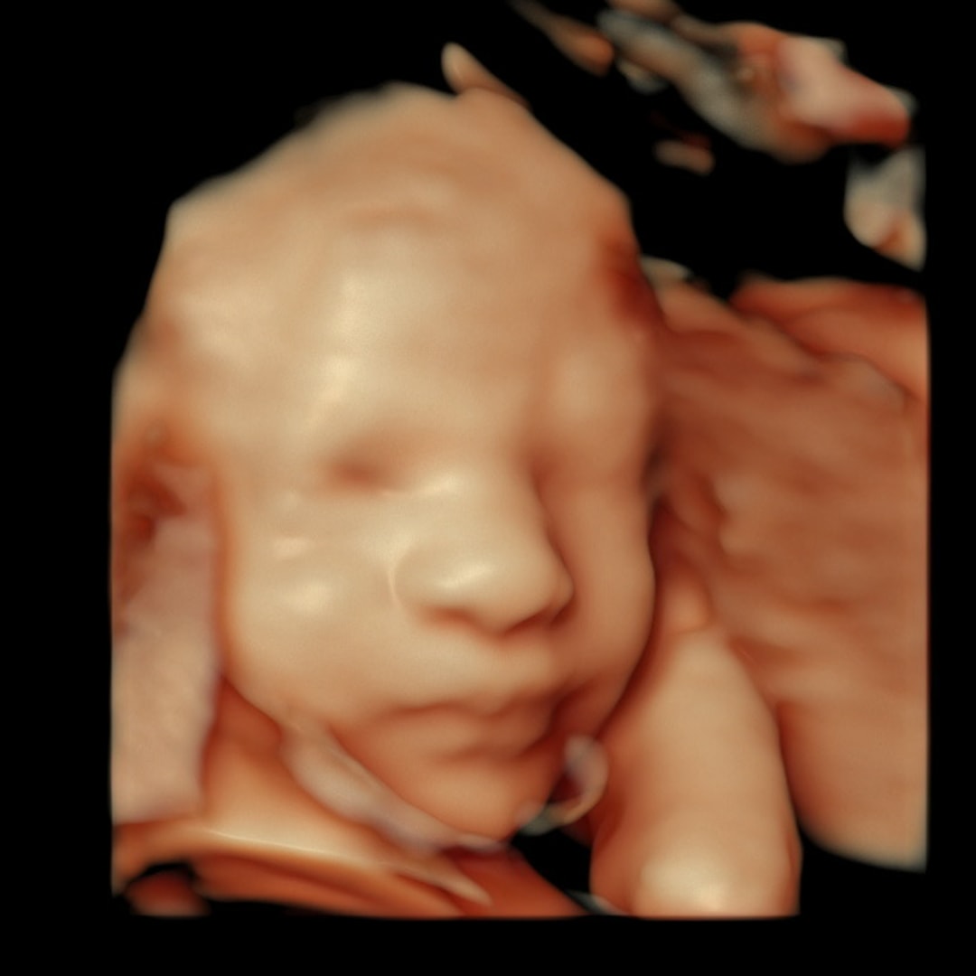 Photo shared by Nicole for their Babylist baby registry.