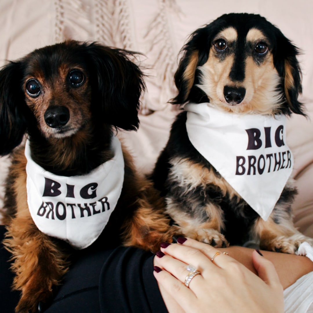 Photo shared by Erin for their Babylist baby registry.