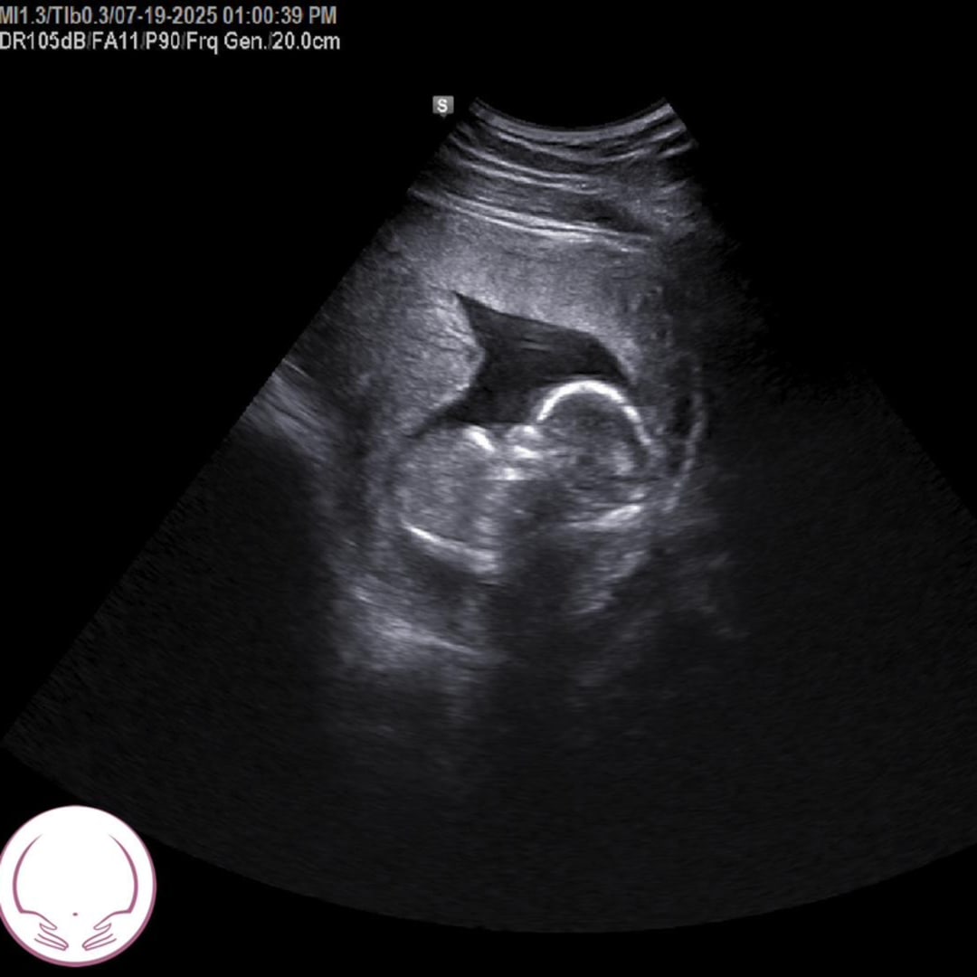 Photo shared by Camia for their Babylist baby registry.