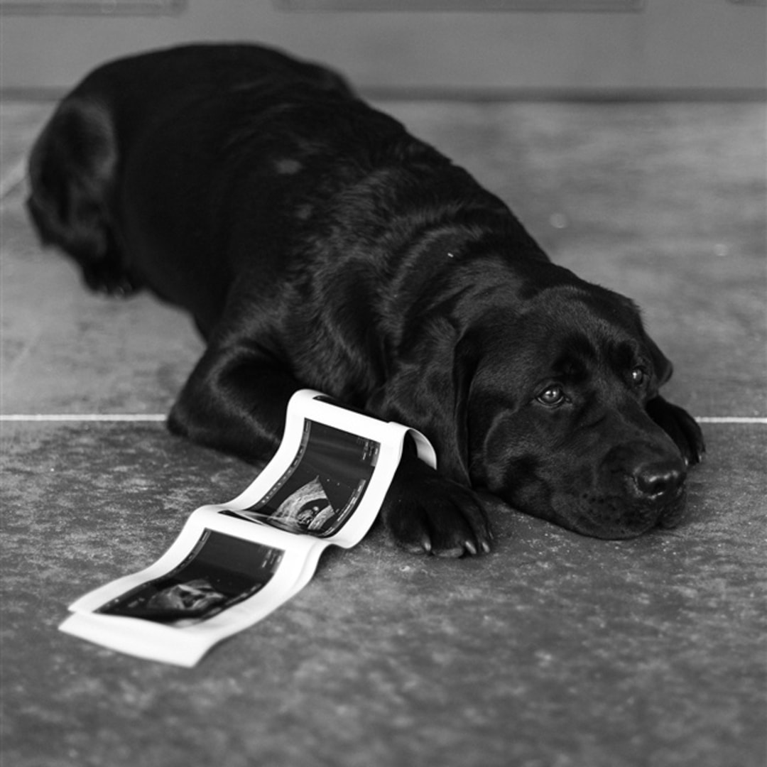 Photo shared by Addyson for their Babylist baby registry.