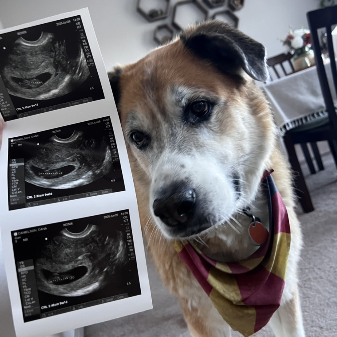 Photo shared by Dana for their Babylist baby registry.