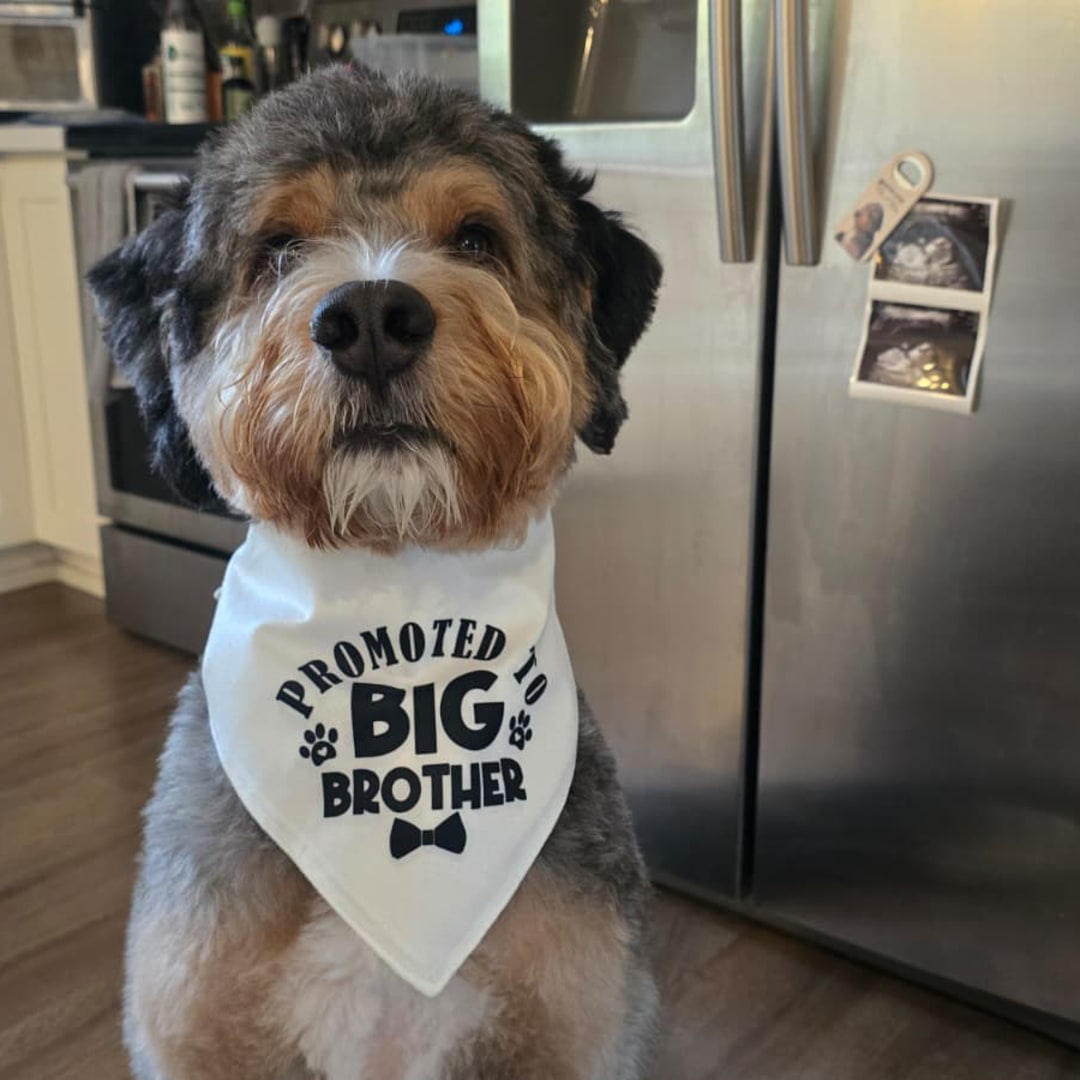 Photo shared by Jing for their Babylist baby registry.